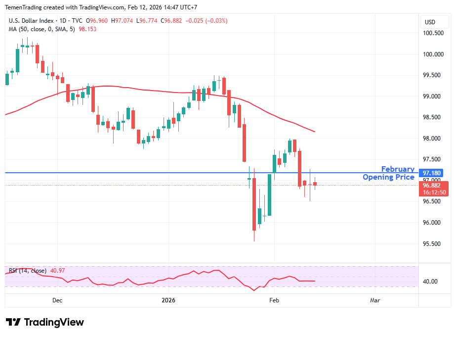 Indeks Dolar Stabil Setelah Sempat Berfluktuasi Pasca Data Tenaga Kerja AS